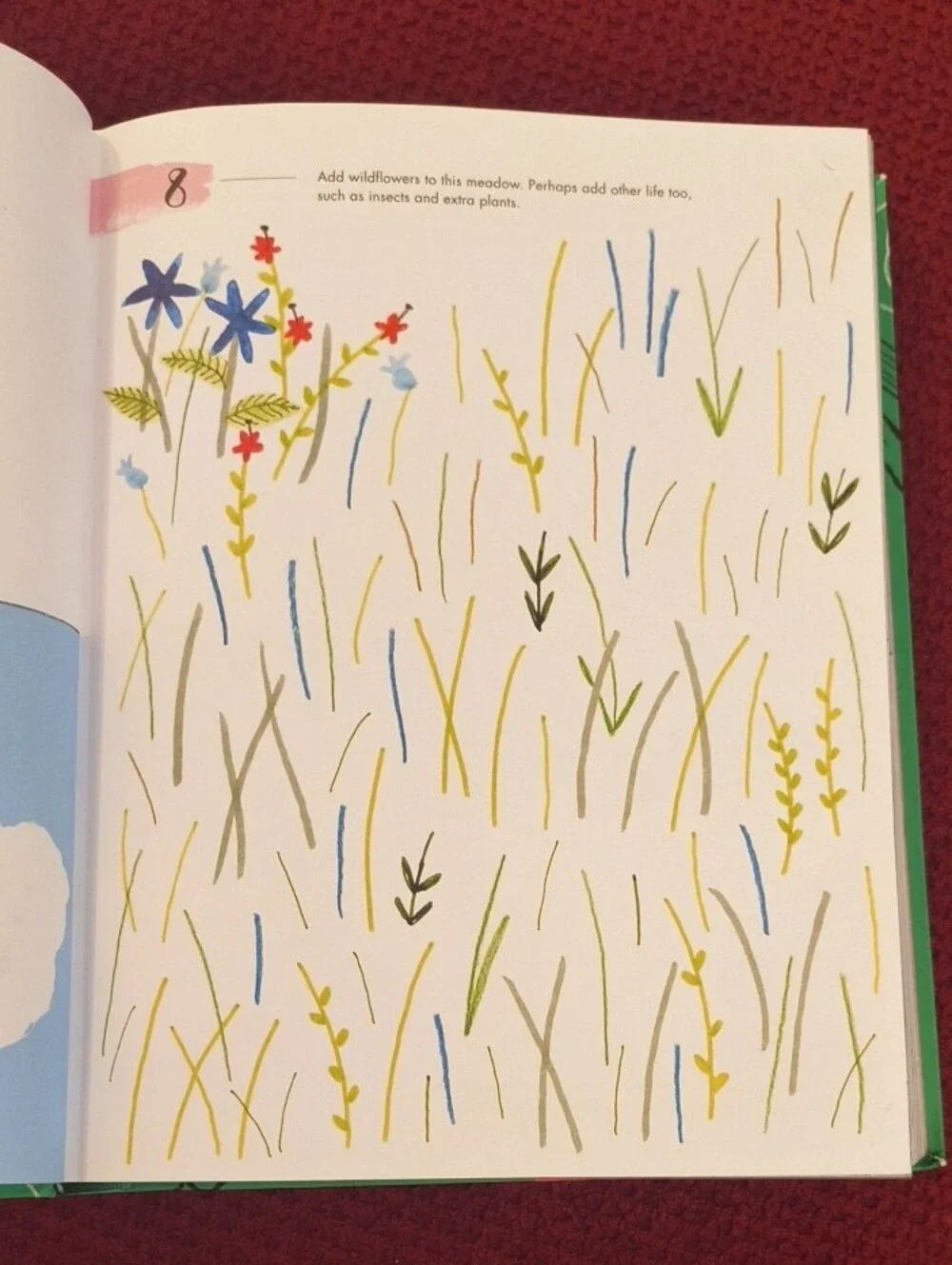 365 Days of Art in Nature — Lorna Scobie NWT